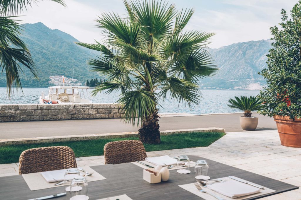 Palm tree by water at Piazza Restaurant at Heritage Grand Perast